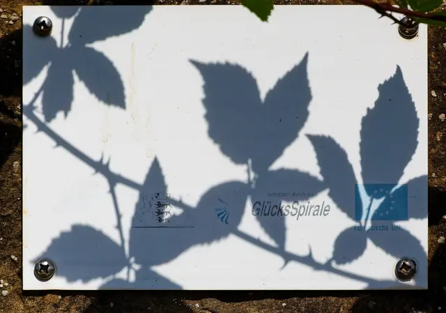 Schattenspiel | Foto: WKY