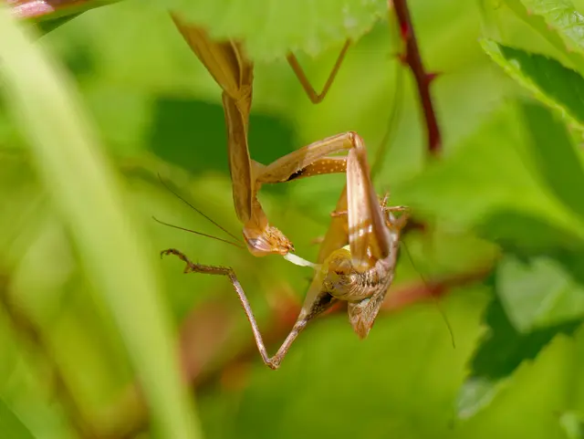 Foto: Eigenes Bild TB