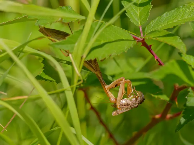 Foto: Eigenes Bild TB