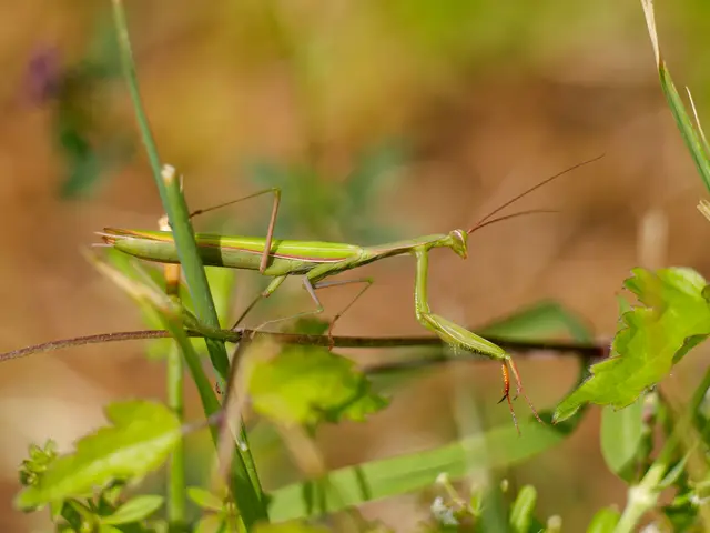 Foto: Eigenes Bild TB