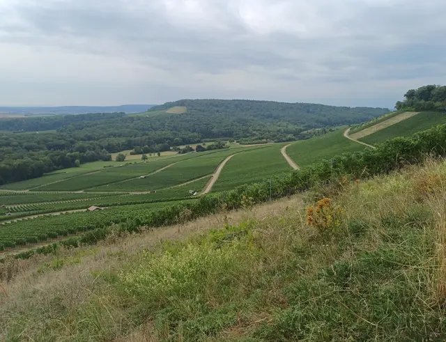 Blick vom Heuchelberg | Foto: E. Rosendorf