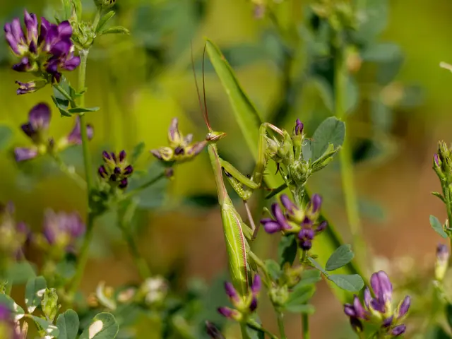 Foto: Eigenes Bild TB