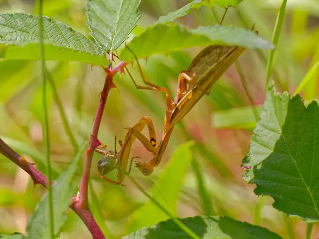 Foto: Eigenes Bild TB