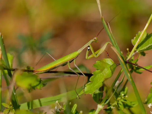 Foto: Eigenes Bild TB