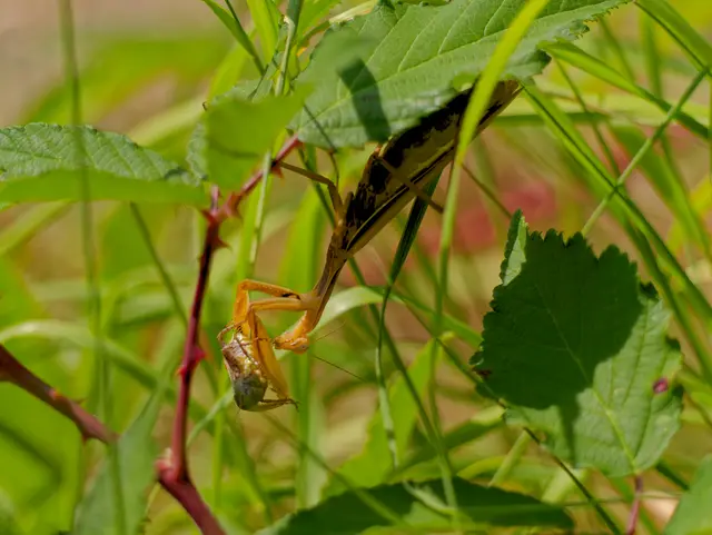 Foto: Eigenes Bild TB