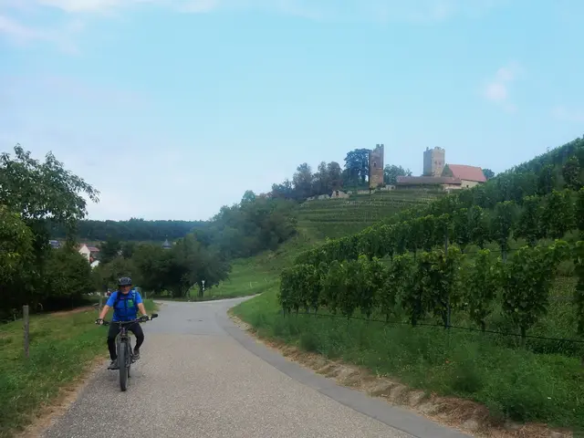 Neipperg | Foto: E. Rosendorf