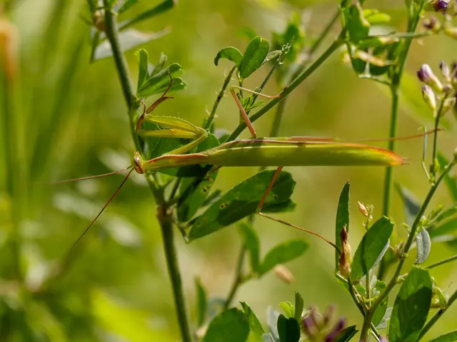 Foto: Eigenes Bild TB