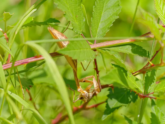 Foto: Eigenes Bild TB