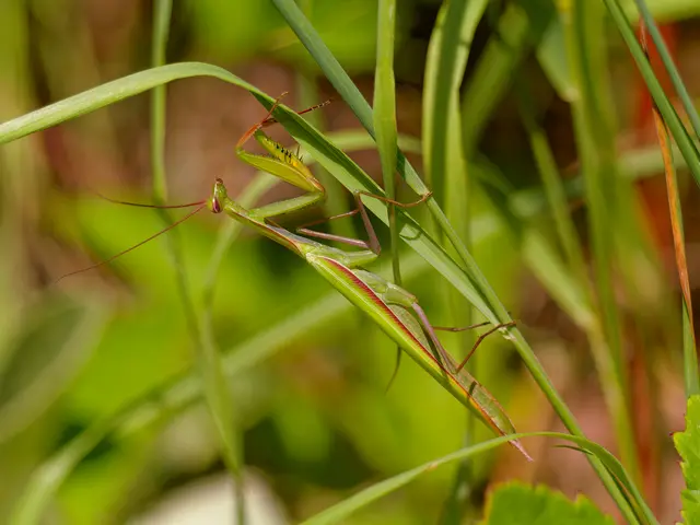 Foto: Eigenes Bild TB