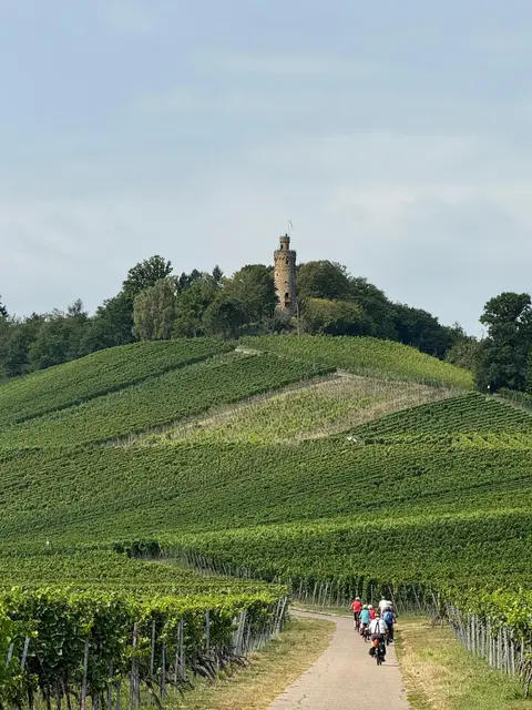 Heuchelberger Warte vor uns | Foto: E. Rosendorf