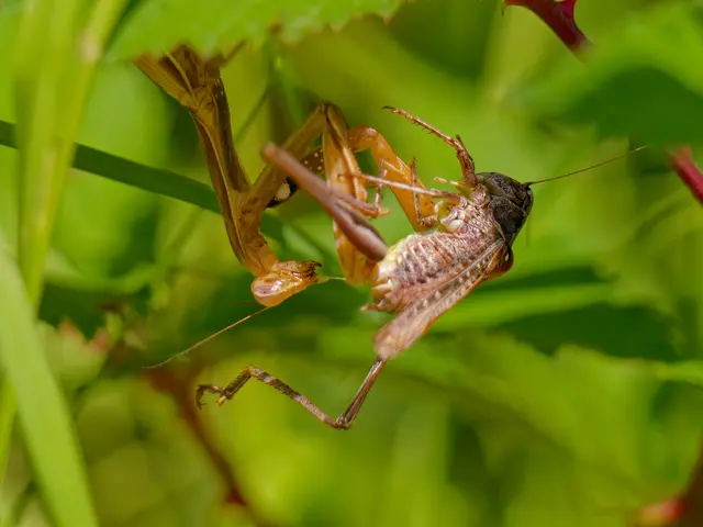 Foto: Eigenes Bild TB