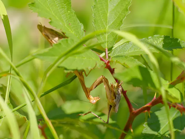 Foto: Eigenes Bild TB