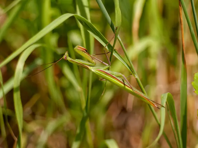 Foto: Eigenes Bild TB