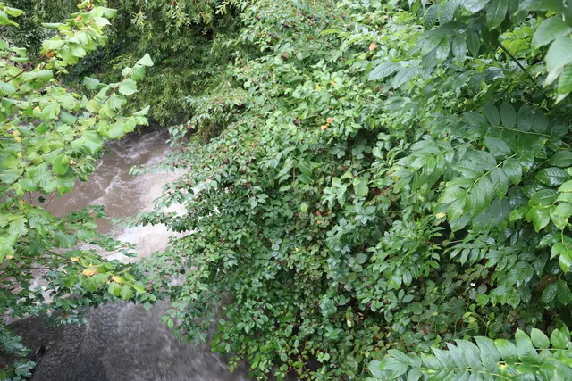 Viel Wasser am 28.08.2025 in der Schozach | Foto: Marga Specht