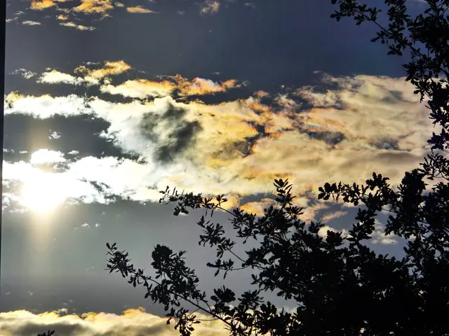 Foto: Heidrun Rosenberger