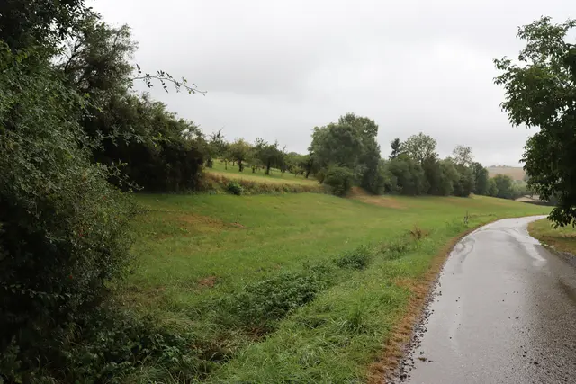 Start der Wanderung hangaufwärts | Foto: Marga Specht