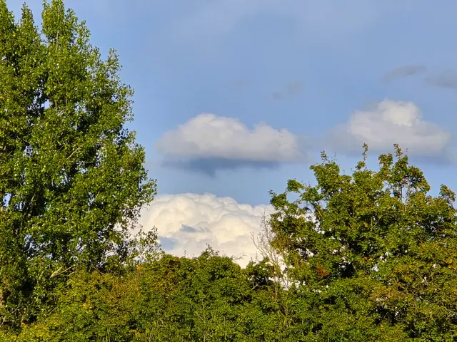 Foto: Heidrun Rosenberger