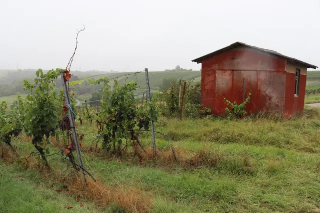 Wengerthütte | Foto: Marga Specht