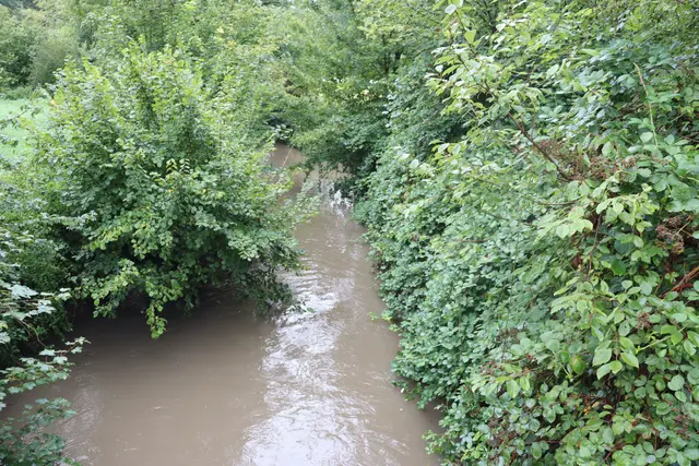 Blick auf die Schozach | Foto: Marga Specht