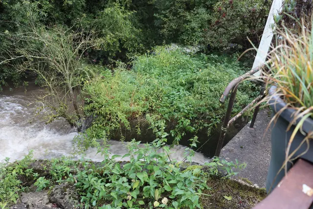 Schozach bei der Öttinger Mühle | Foto: Marga Specht