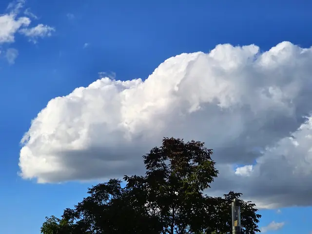 Foto: Heidrun Rosenberger