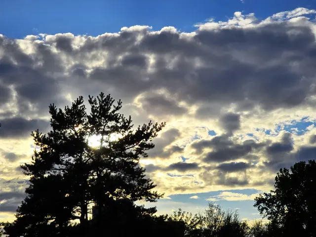 Foto: Heidrun Rosenberger