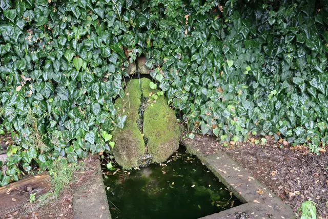 Tuffstein mit Wasserlauf im Schozachtal | Foto: Marga Specht