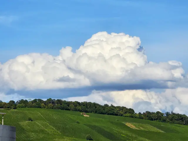 Foto: Heidrun Rosenberger