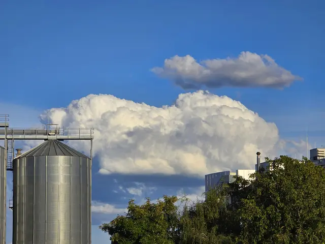 Foto: Heidrun Rosenberger