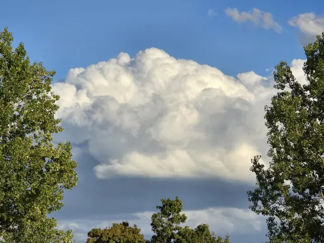 Foto: Heidrun Rosenberger