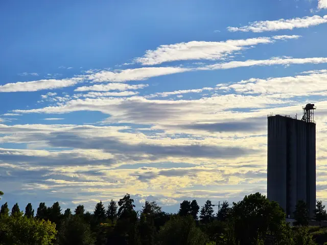 Foto: Heidrun Rosenberger