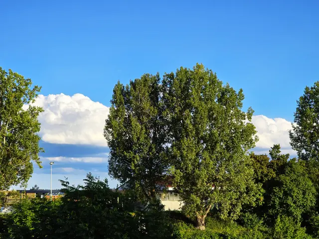 Foto: Heidrun Rosenberger