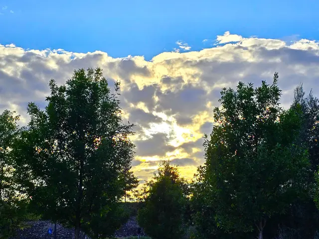 Foto: Heidrun Rosenberger