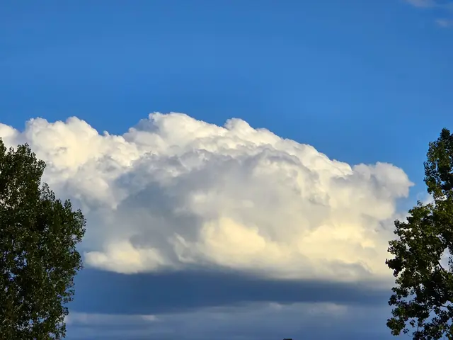 Foto: Heidrun Rosenberger