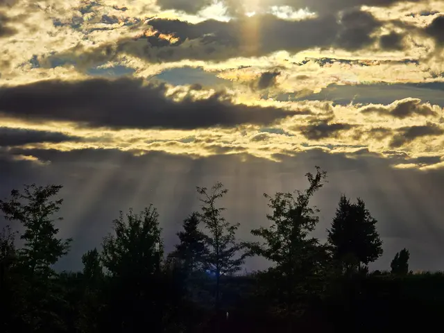 Foto: Heidrun Rosenberger