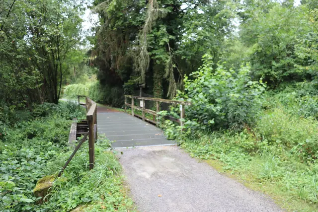 Alte Bahnbrücke im Schozachtal | Foto: Marga Specht