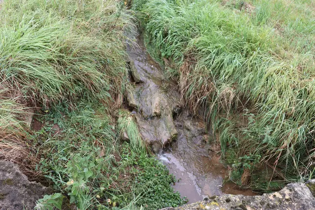 Nebenflüsschen der Schozach beim Aussiedlerhof | Foto: Marga Specht