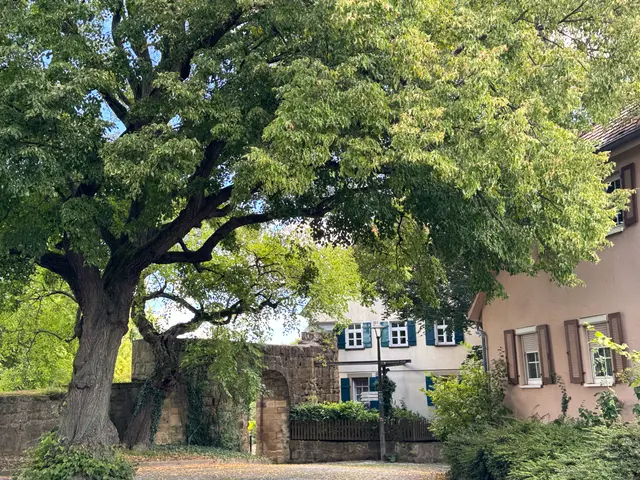 Foto: Heide Böllinger aus Bad Friedrichshall