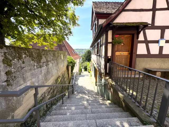 Foto: Heide Böllinger aus Bad Friedrichshall