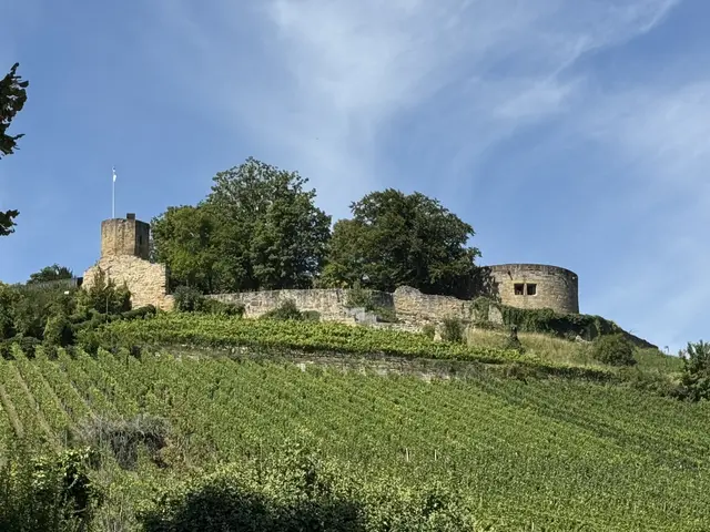 Foto: Heide Böllinger aus Bad Friedrichshall