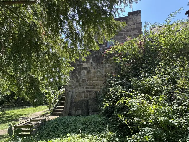 Foto: Heide Böllinger aus Bad Friedrichshall