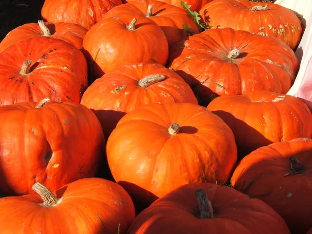 Der Herbst kommt mit großen Schritten | Foto: JuKo