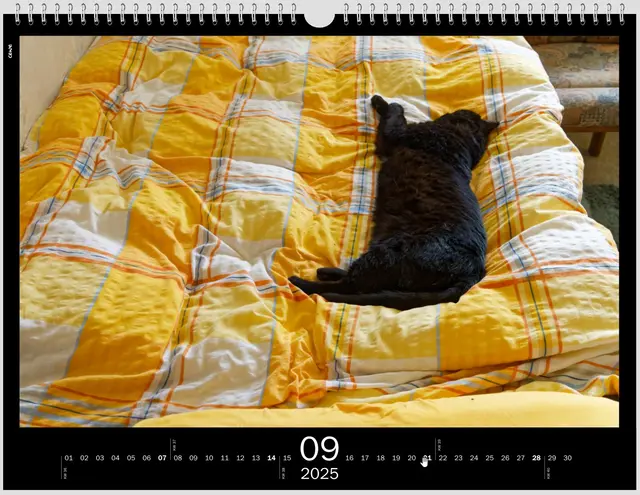 Tiefenentspannt | Foto: WKY