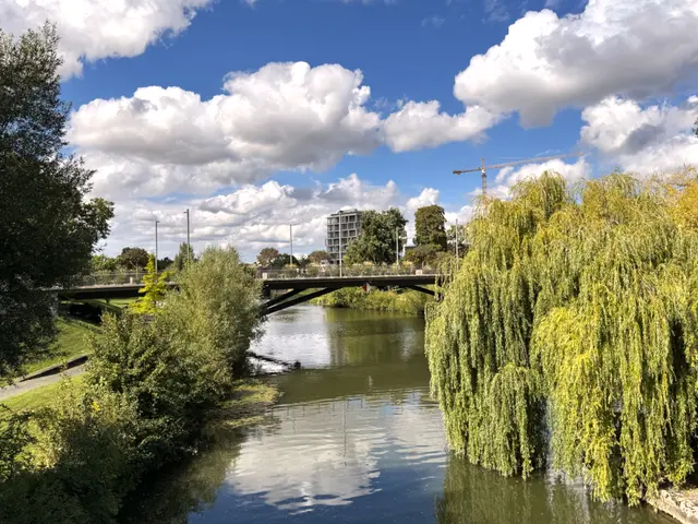 Foto: Heide Böllinger aus Bad Friedrichshall