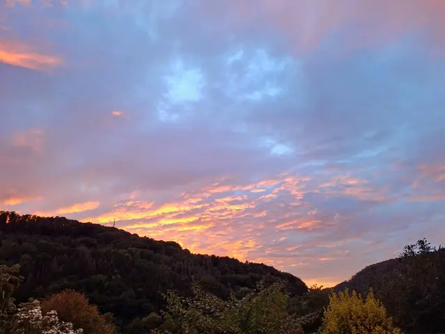 tolle Farben | Foto: Ralf Röser