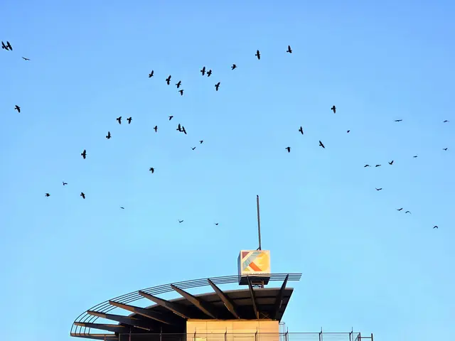 Foto: Heidrun Rosenberger