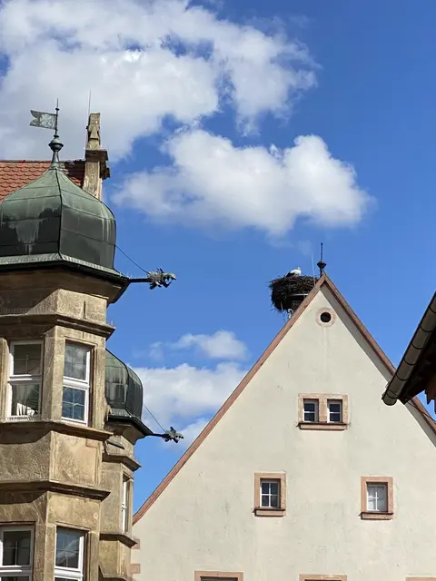 Foto: privat: G. Schmetzer