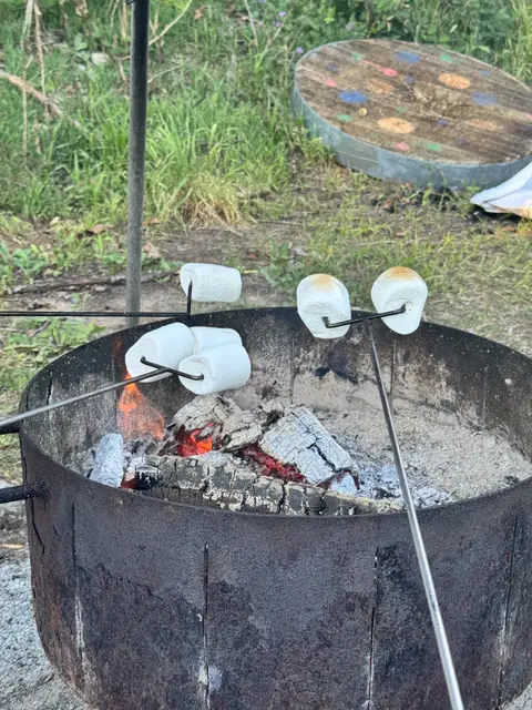 Foto: Schützengilde Neckarsulm e.V. 