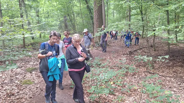auf den Wurzelwegen im Stadtwald, gut für die Koordination | Foto: Monika Breusch