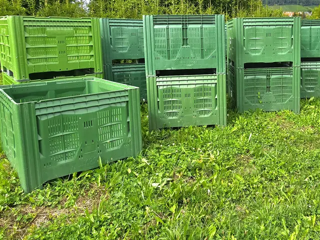 Foto: Heidrun Rosenberger